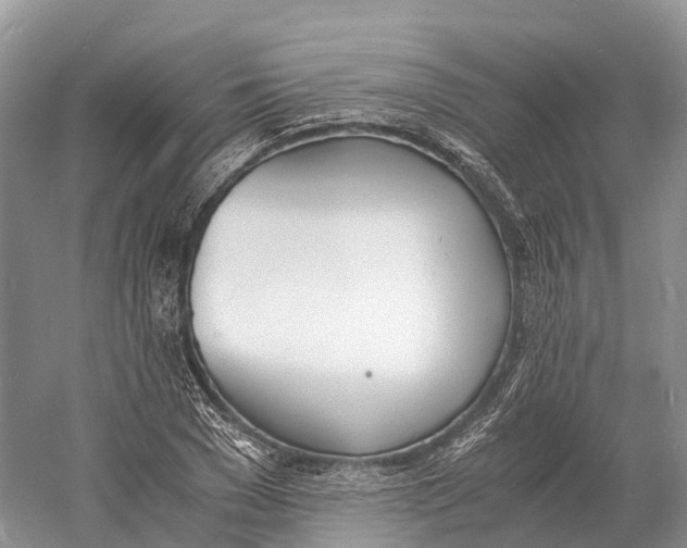 X0000060800977200512011728