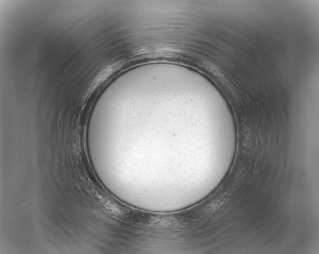 X0000060800978200512011728