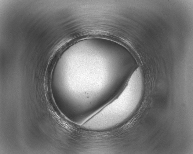 X0000060800979200512011728