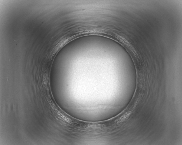 X0000060800985200512011728