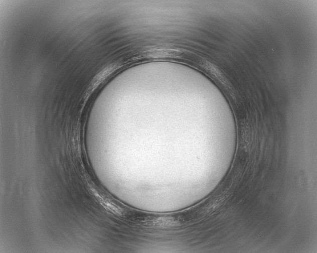 X0000060800986200512011728