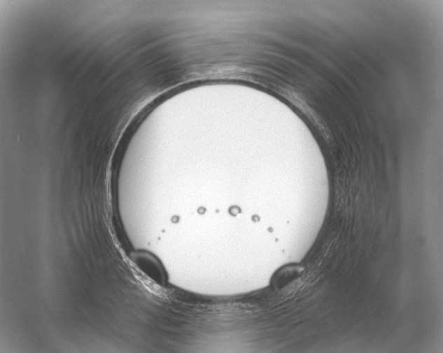 X0000060800988200512011728