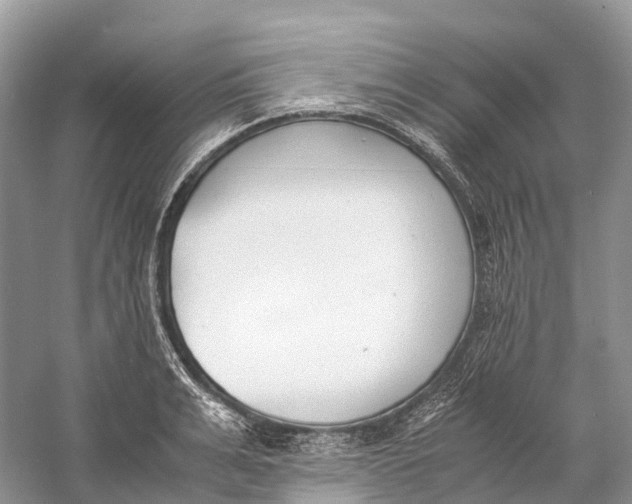 X0000060800991200512011728