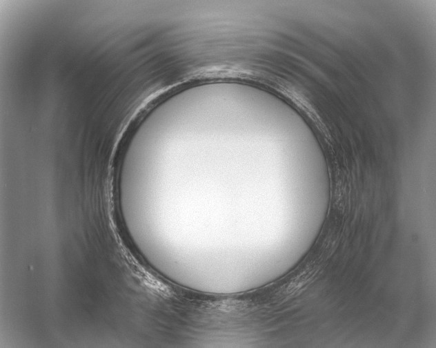 X0000060800992200512011728