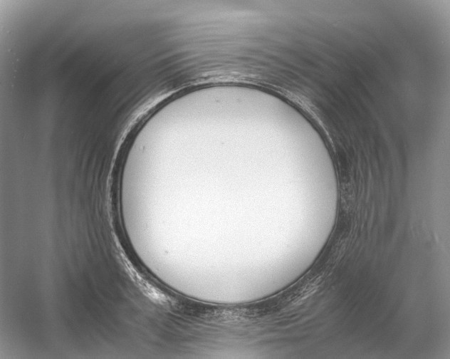 X0000060800995200512011728