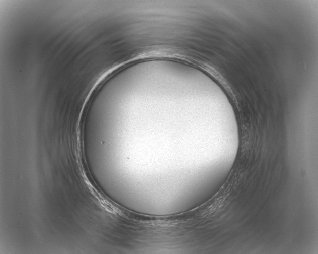 X0000060800996200512011728