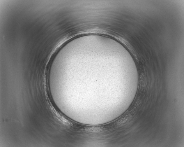 X0000060800998200512011728