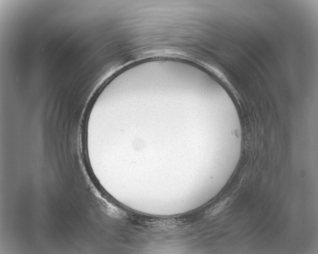 X0000060800999200512011728