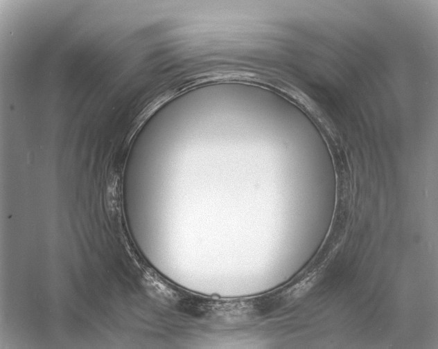 X0000060801001200512011728