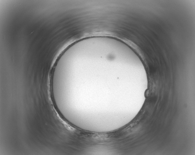 X0000060801006200512011728