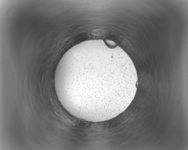 X0000060801009200512011727