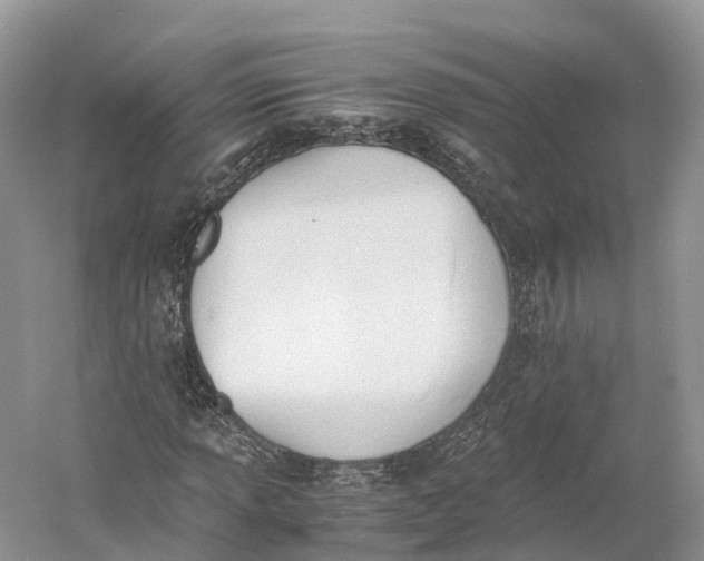 X0000060801013200512011727