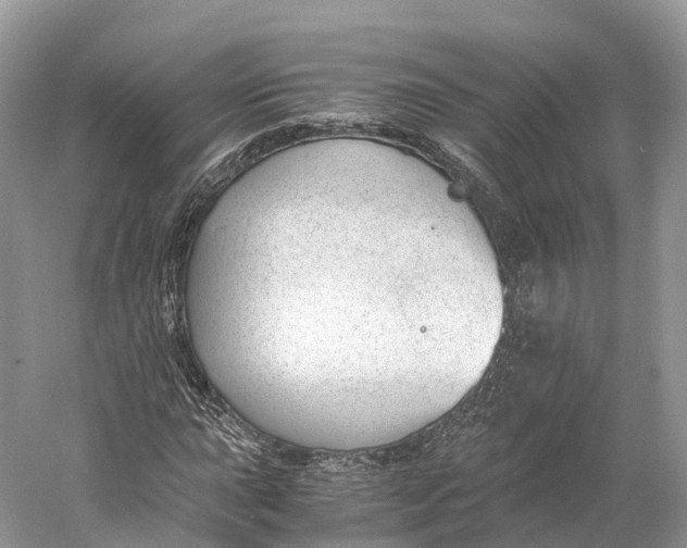 X0000060801015200512011727