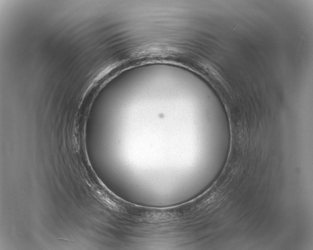 X0000060801018200512011727