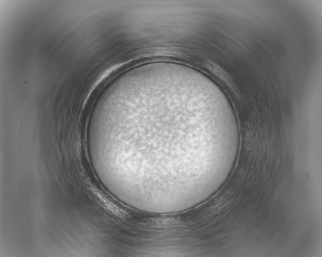 X0000060801024200512011727