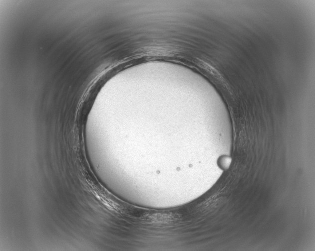 X0000060801027200512011727