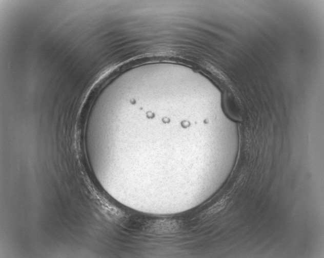 X0000060801029200512011727