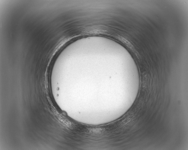 X0000060801031200512011727