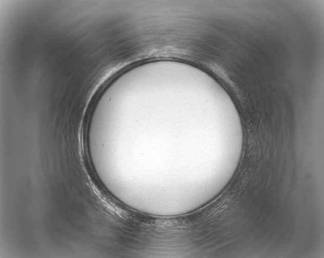 X0000060801032200512011727