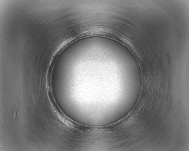 X0000060801034200512011727