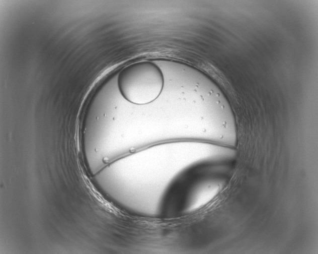 X0000060801036200512011727