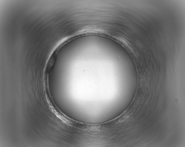 X0000060801038200512011727