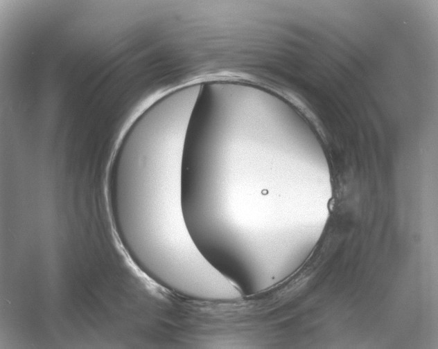 X0000060801054200512011728