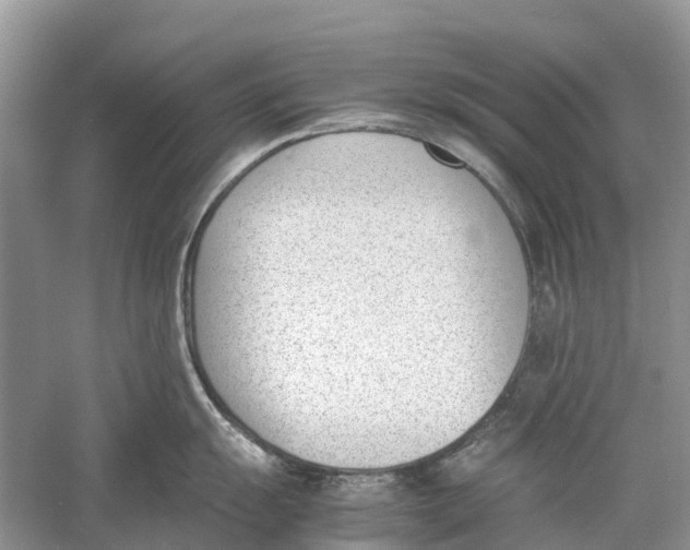 X0000060801055200512011728