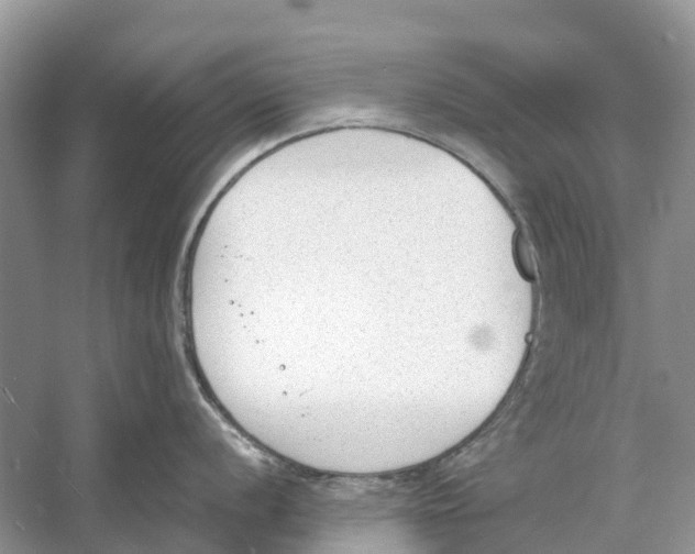 X0000060801056200512011728