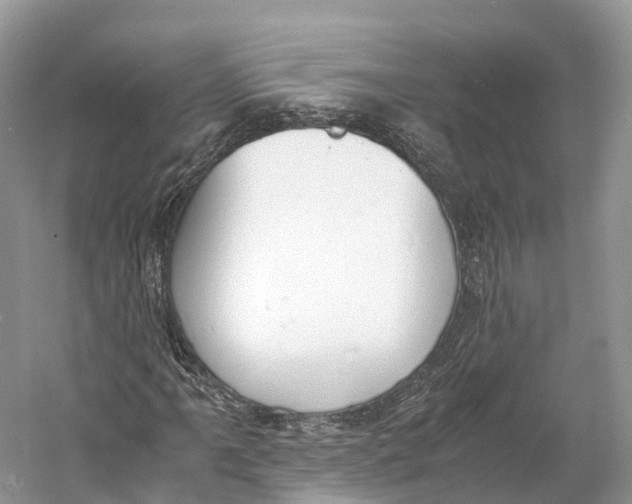 X0000060801061200512011727