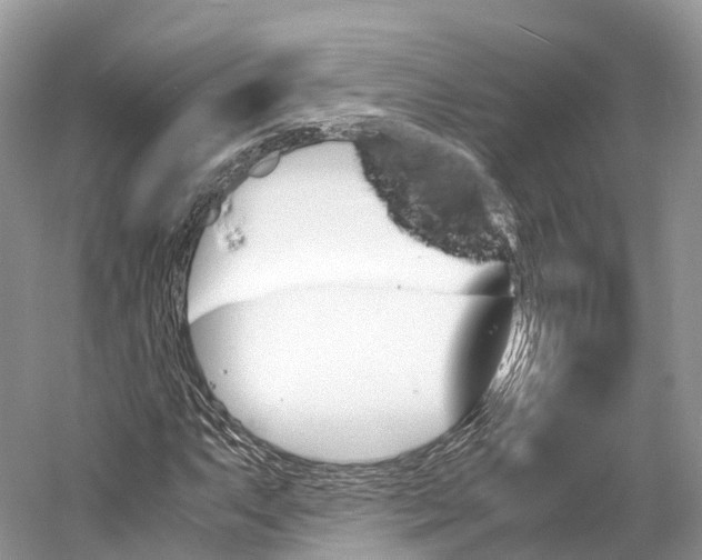 X0000060801063200512011727