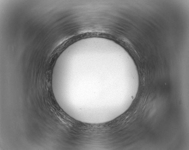 X0000060801064200512011727