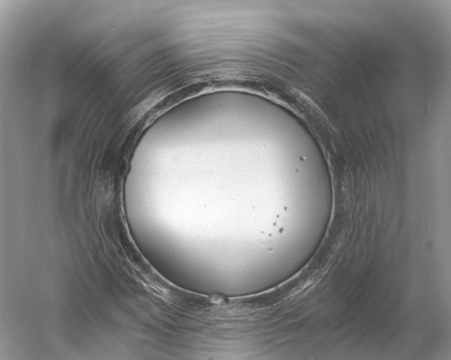 X0000060801065200512011727