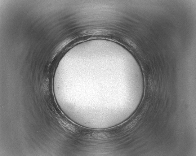 X0000060801066200512011727