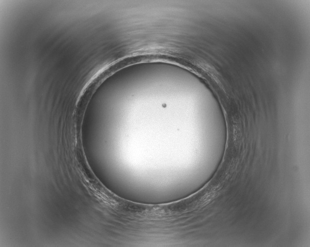 X0000060801069200512011727