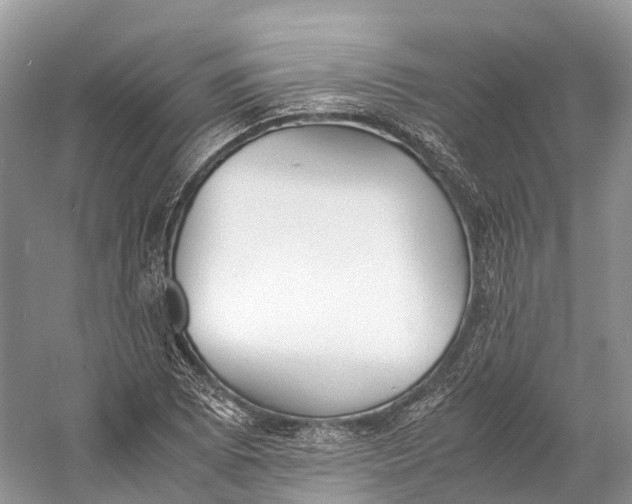 X0000060801073200512011726