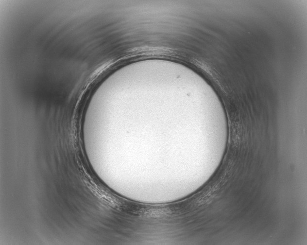 X0000060801074200512011726