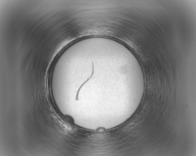 X0000060801078200512011726