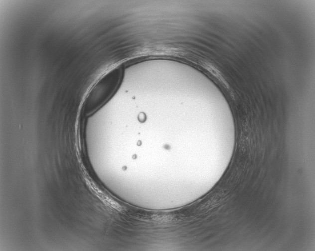 X0000060801080200512011726