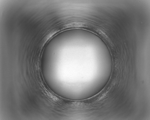 X0000060801081200512011726