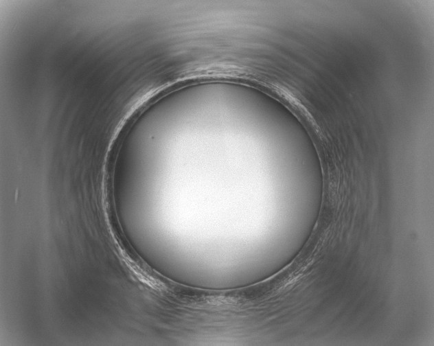 X0000060801085200512011726