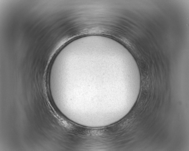 X0000060801086200512011726