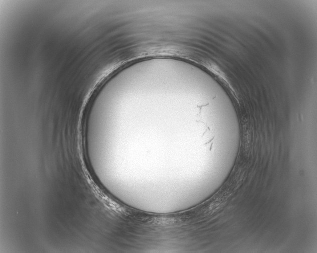 X0000060801088200512011726