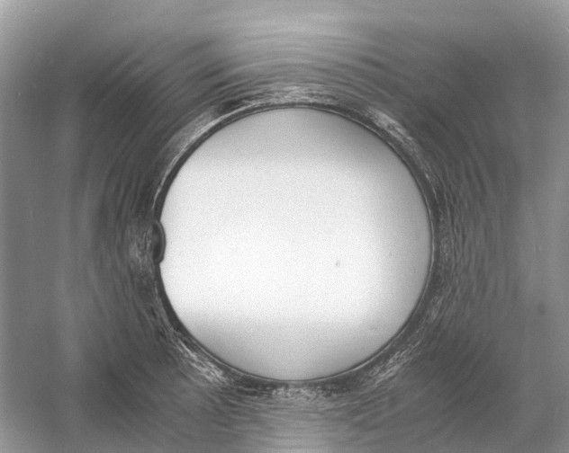 X0000060801089200512011726