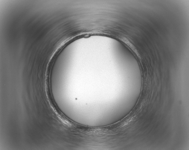 X0000060801093200512011726