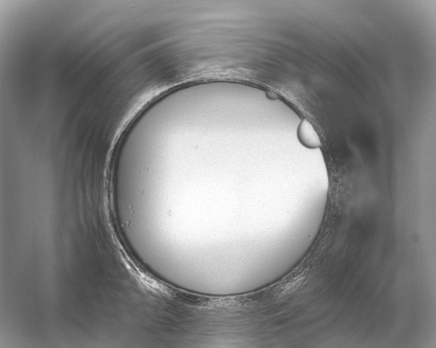 X0000060801094200512011726