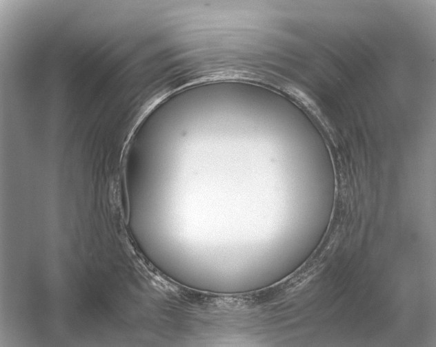 X0000060801097200512011726