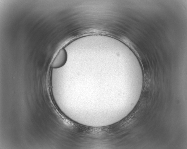 X0000060801098200512011726