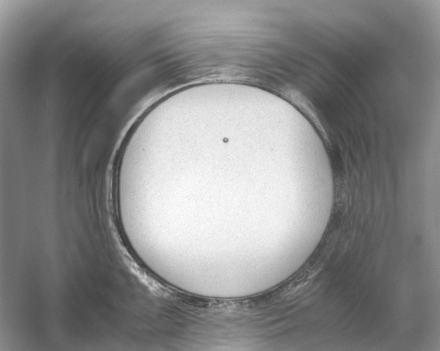 X0000060801099200512011726