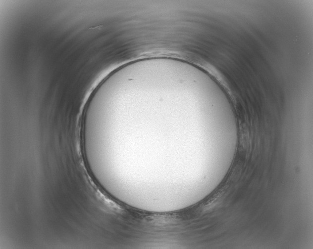 X0000060801102200512011726